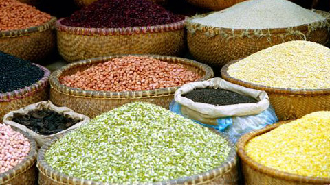 การสัมมนา “ส่งออกสินค้าการเกษตรไปยังตลาดยุโรป”